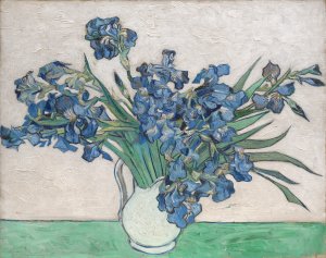 Photo of: 'Irises', Vincent Van Gogh, oil on canvas